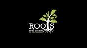 Roots Egypt logo image