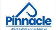 Pinnacle Real Estate logo image