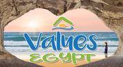 Values Egypt logo image