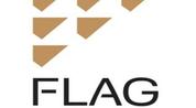 Flag Real Estate logo image