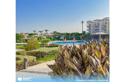 Apartment - 2 Bedrooms - 2 Bathrooms for sale in Sunny Beach Resort - Sharm El Sheikh - South Sainai