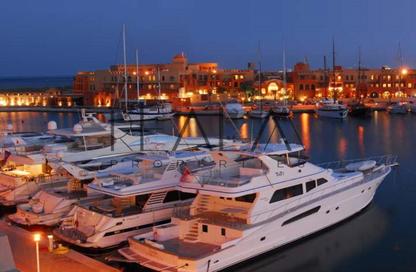 Apartment - 2 Bedrooms - 2 Bathrooms for sale in Mangroovy Residence - Al Gouna - Hurghada - Red Sea