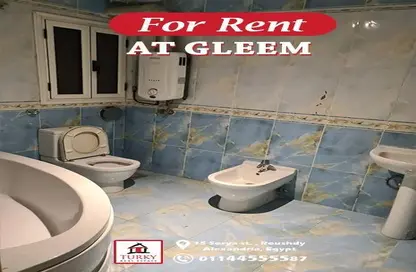 Apartment - 2 Bedrooms - 2 Bathrooms for rent in Glim - Hay Sharq - Alexandria