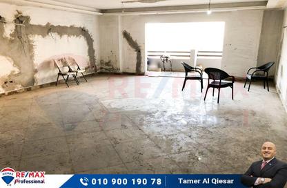 Apartment - 3 Bedrooms - 3 Bathrooms for sale in Stanley Bridge - Stanley - Hay Sharq - Alexandria