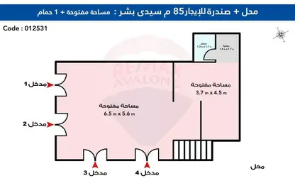 محل تجاري - استوديو - 1 حمام للايجار في شارع محمد نجيب - سيدي بشر - حي اول المنتزة - الاسكندرية