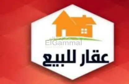 Whole Building - Studio - 4 Bathrooms for sale in Ahmed Orabi St. - Mohandessin - Giza