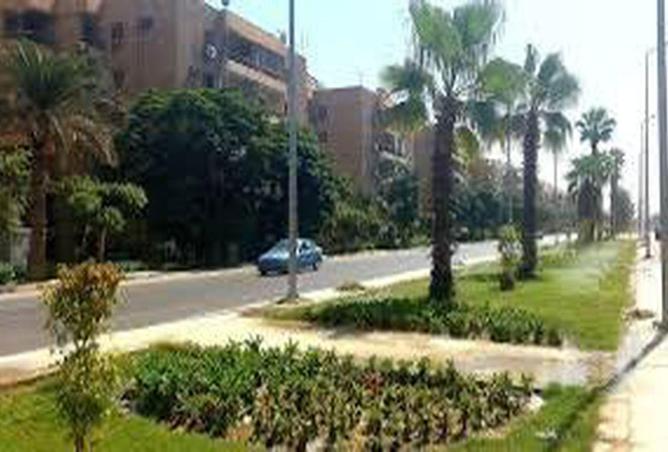 Apartment - 3 Bedrooms - 2 Bathrooms for sale in Togary St. - Zahraa El Maadi - Hay El Maadi - Cairo