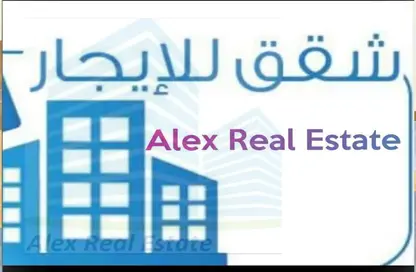 Office Space - Studio - 3 Bathrooms for rent in Omar Lotfy St.   Mahatet Al Raml Square - Raml Station - Hay Wasat - Alexandria