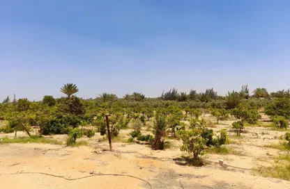 Land - Studio for sale in New Alamein City - Al Alamein - North Coast