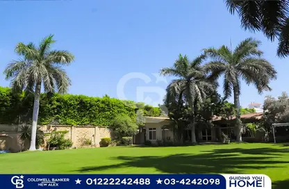 Palace for sale in Ekeingy Maryout - Al Amereyah Gharb - Hay Al Amereyah - Alexandria