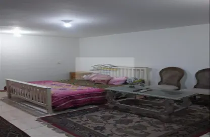 Apartment - 1 Bedroom - 1 Bathroom for rent in Street 198 - Degla - Hay El Maadi - Cairo