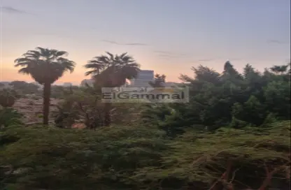 Apartment - 3 Bedrooms - 3 Bathrooms for sale in Al Gabalaya St. - Zamalek - Cairo