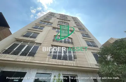 Whole Building - Studio - 3 Bathrooms for rent in Street 250 - Degla - Hay El Maadi - Cairo