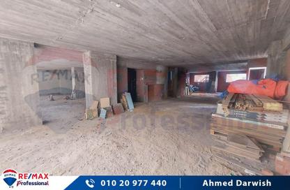 Office Space - Studio for rent in Mostafa Abou Heif St. - Saba Basha - Hay Sharq - Alexandria