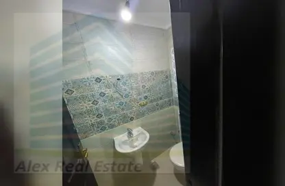 Bulk Rent Unit - Studio - 2 Bathrooms for rent in Mohamed Fawzy Moaz St. - Smouha - Hay Sharq - Alexandria