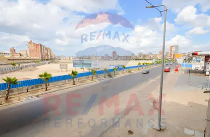 Bulk Sale Unit - Studio - 1 Bathroom for sale in Gamila Abo Hreid St. - Khorshid El Qeblia - Hay Sharq - Alexandria