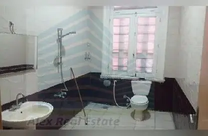 Bulk Rent Unit - Studio - 2 Bathrooms for rent in Al Mosheer Ahmed Ismail St. - Sidi Gaber - Hay Sharq - Alexandria