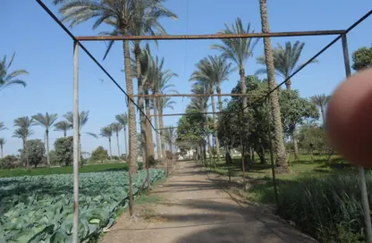 Farm - Studio for sale in El Khatatba - Madinat Al Menofeya - Al Menofeya