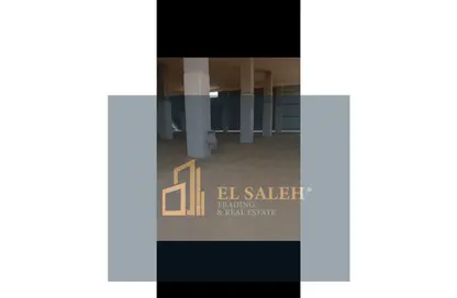 Factory - Studio - 2 Bathrooms for rent in Al Asher Mn Ramadan Badr Road - Zezenia 10th of Ramadan - 10th of Ramadan City - Sharqia