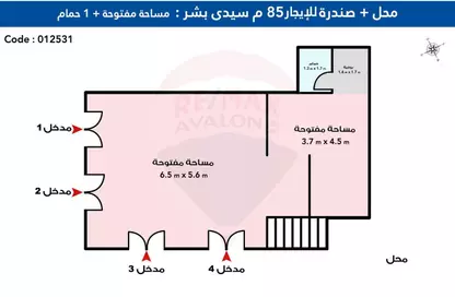 محل تجاري - استوديو - 1 حمام للايجار في شارع محمد نجيب - سيدي بشر - حي اول المنتزة - الاسكندرية