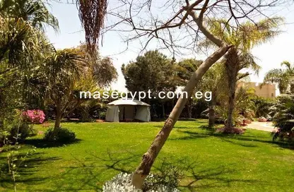 Villa - 5 Bedrooms - 5 Bathrooms for rent in Wadi Al Nakhil - Cairo Alexandria Desert Road - 6 October City - Giza