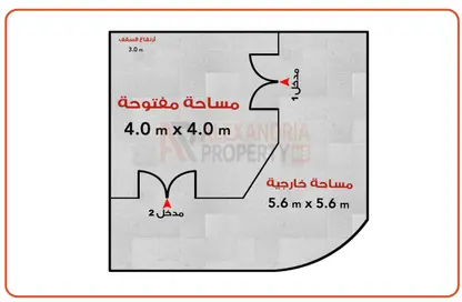 محل تجاري - استوديو للبيع في شارع السيدة سكينة إبنت الحسين - كفر عبده - رشدي - حي شرق - الاسكندرية