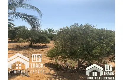 Land - Studio for sale in Wadi Al Nakhil - Cairo Alexandria Desert Road - 6 October City - Giza