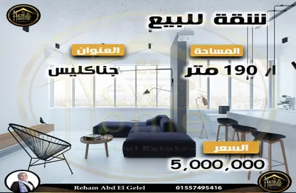 Apartment - 3 Bedrooms - 2 Bathrooms for sale in Janaklees - Hay Sharq - Alexandria