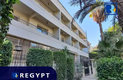 Bulk Rent Unit - Studio - 7 Bathrooms for rent in Street 298 - New Maadi - Hay El Maadi - Cairo