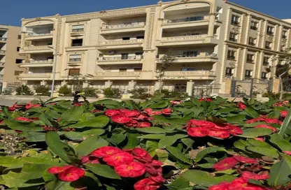 Apartment - 2 Bedrooms - 1 Bathroom for rent in El Banafseg 3 - El Banafseg - New Cairo City - Cairo