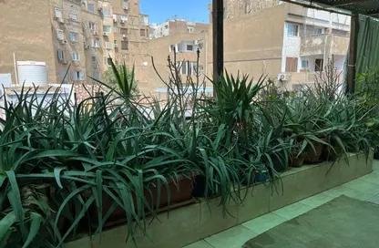 Apartment - 3 Bedrooms - 1 Bathroom for sale in Zamalek - Cairo