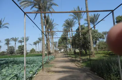 Farm - Studio for sale in El Khatatba - Madinat Al Menofeya - Al Menofeya